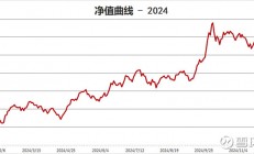 LTLyra的2024总结和2025展望
